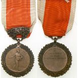 Social Foresight Honor Medal, Hygiene Ministry