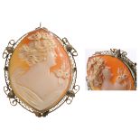 Large Shell Cameo