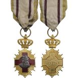 Sanitary Merit Medal, 1st Class, 1913