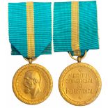 The Commercial and Industrial Merit Medal, 1st Class, 1st Class, instituted on the 22nd of November