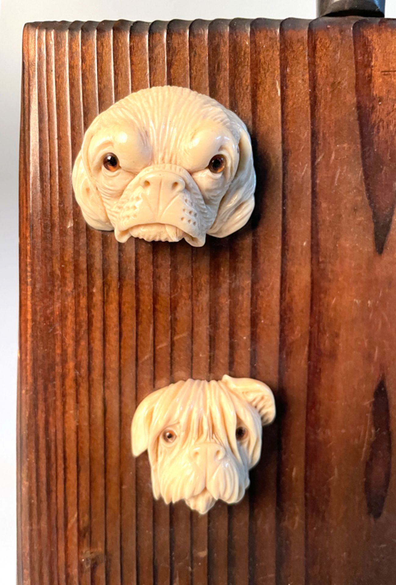 "Canine portraits". Ivory sculptures. England. 19th century. - Image 4 of 7