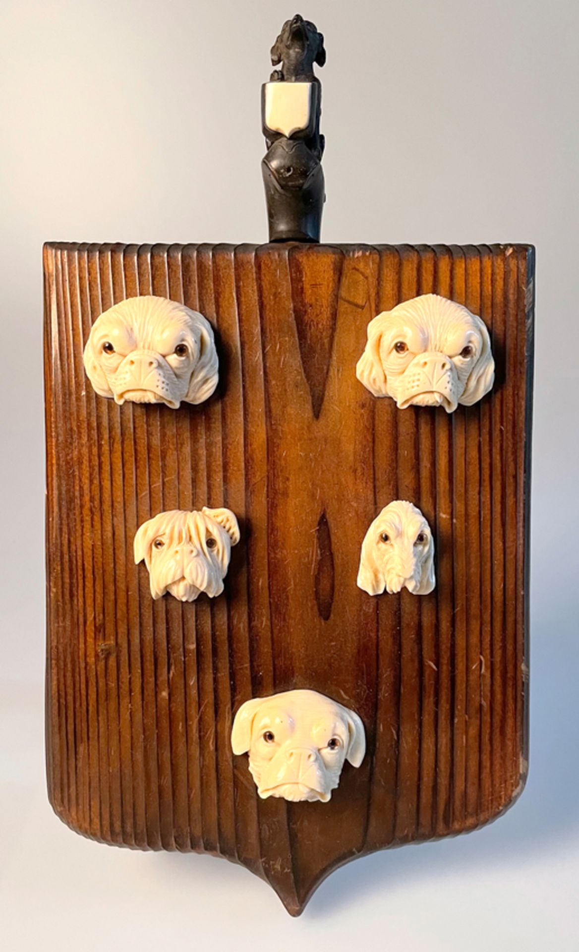 "Canine portraits". Ivory sculptures. England. 19th century.