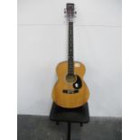 Elevation acoustic Guitar Model: W-100-N-A A/F