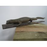 Victorian taxidermy lizard 92cm long