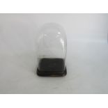 Victorian square glass dome on wooden base 18cm x 18cm x30cm high