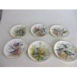 The Connaught collection of British garden birds, set of 6 collectors plates.