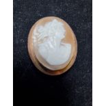 Antique cameo brooch set on gold coloured metal