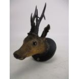 Victorian taxidermy mounted doe head.