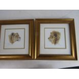A pair of Stephen Gayford limited edition prints Lion and Lioness 526/1250 33cm x 33cm