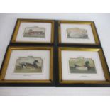 Set of 4 Manuscript ltd series 1394 framed bird prints to include Mallard, snow goose etc.