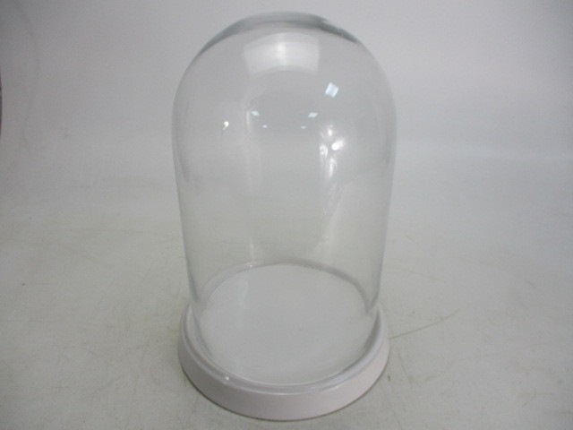20th century ceramic base glass dome. H53 x W30cms.