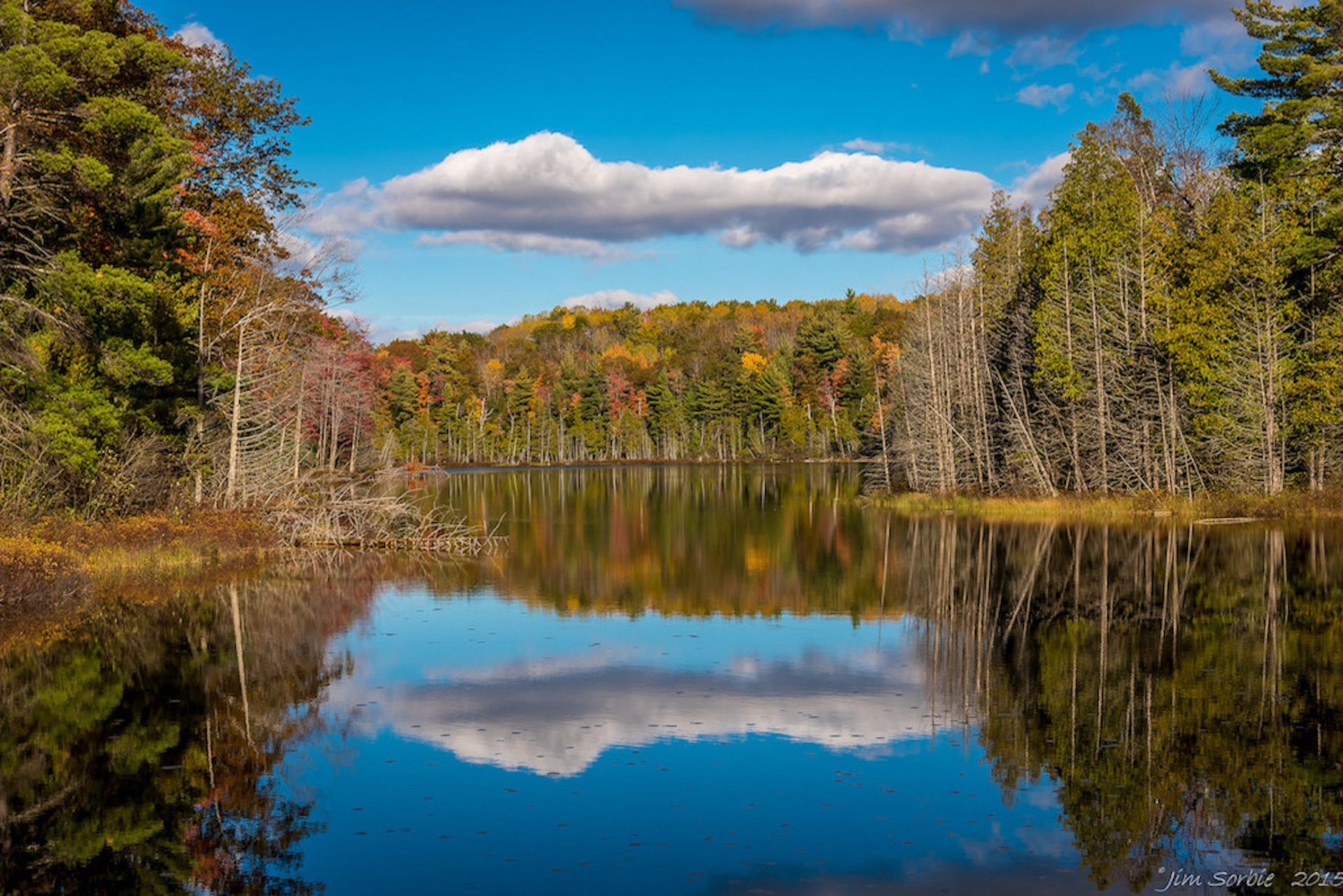 Small Town Living in Michigan’s Southern Peninsula Outdoor Paradise!