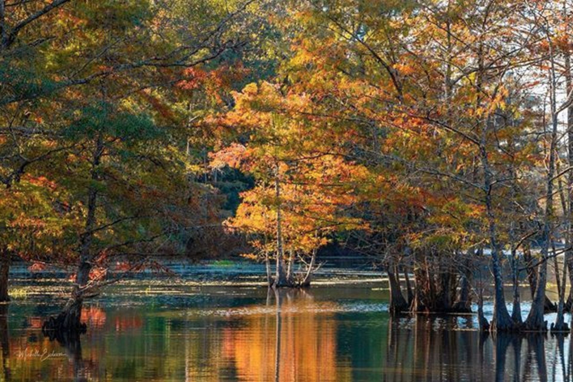 Rayburn Country in East Texas!