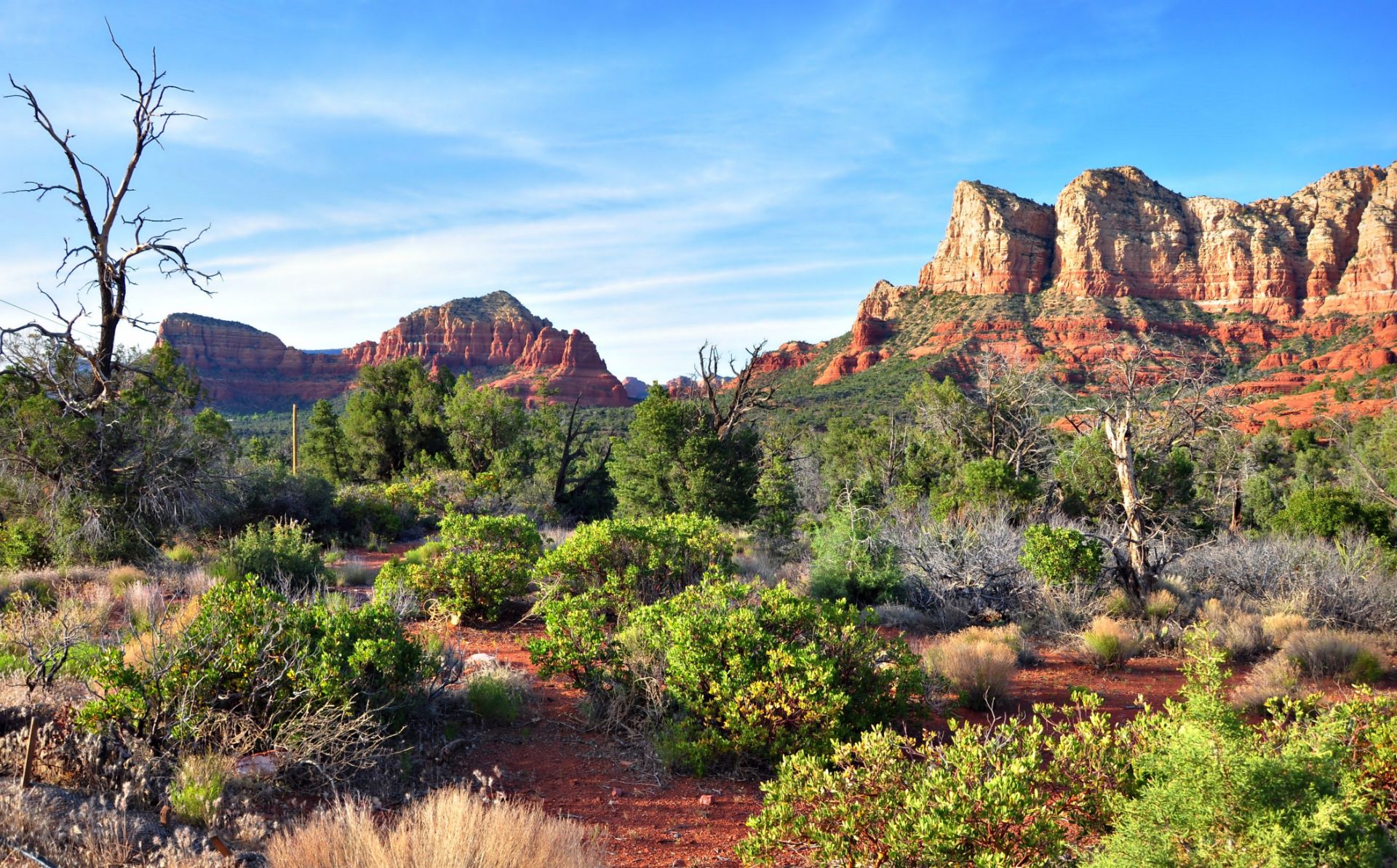 A Quiet Oasis at the Edge of Historic Downtown Willcox in Cochise County