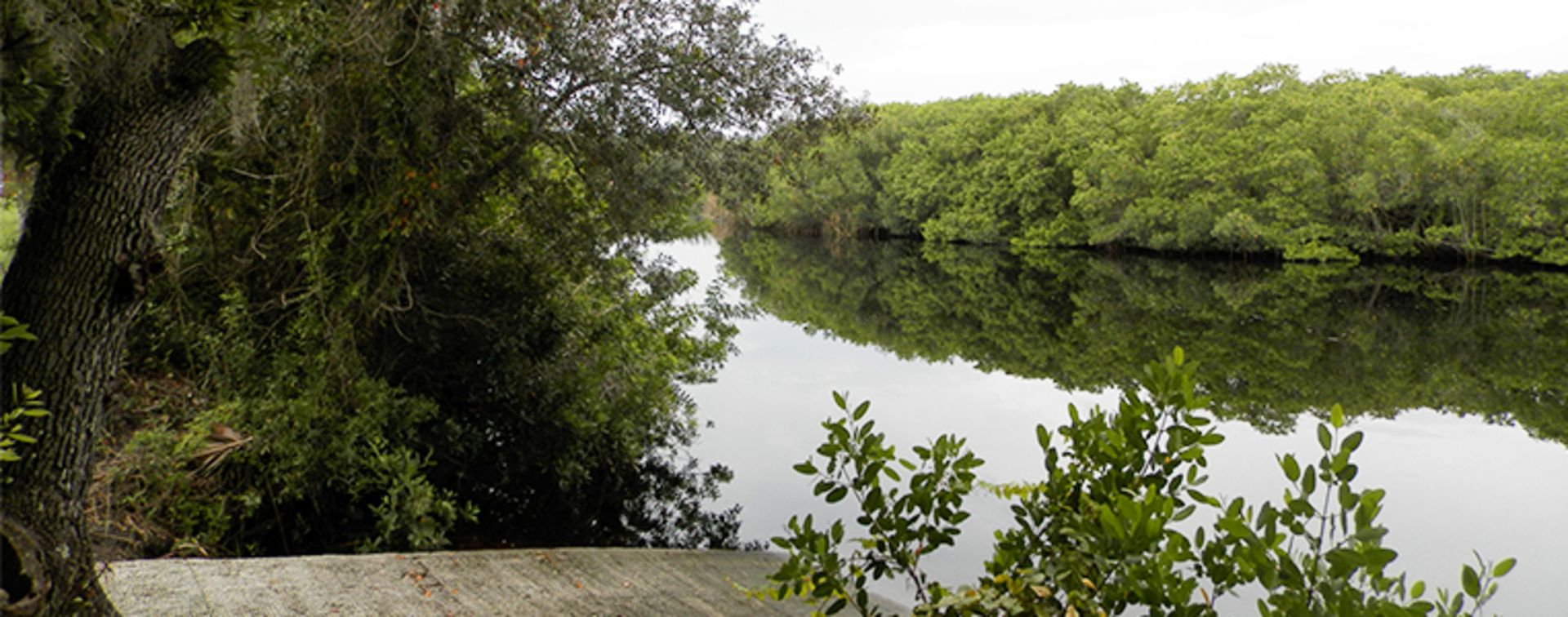 Experience the Peace River Preserve in Sunny Florida! Adjacent to Lot 17!