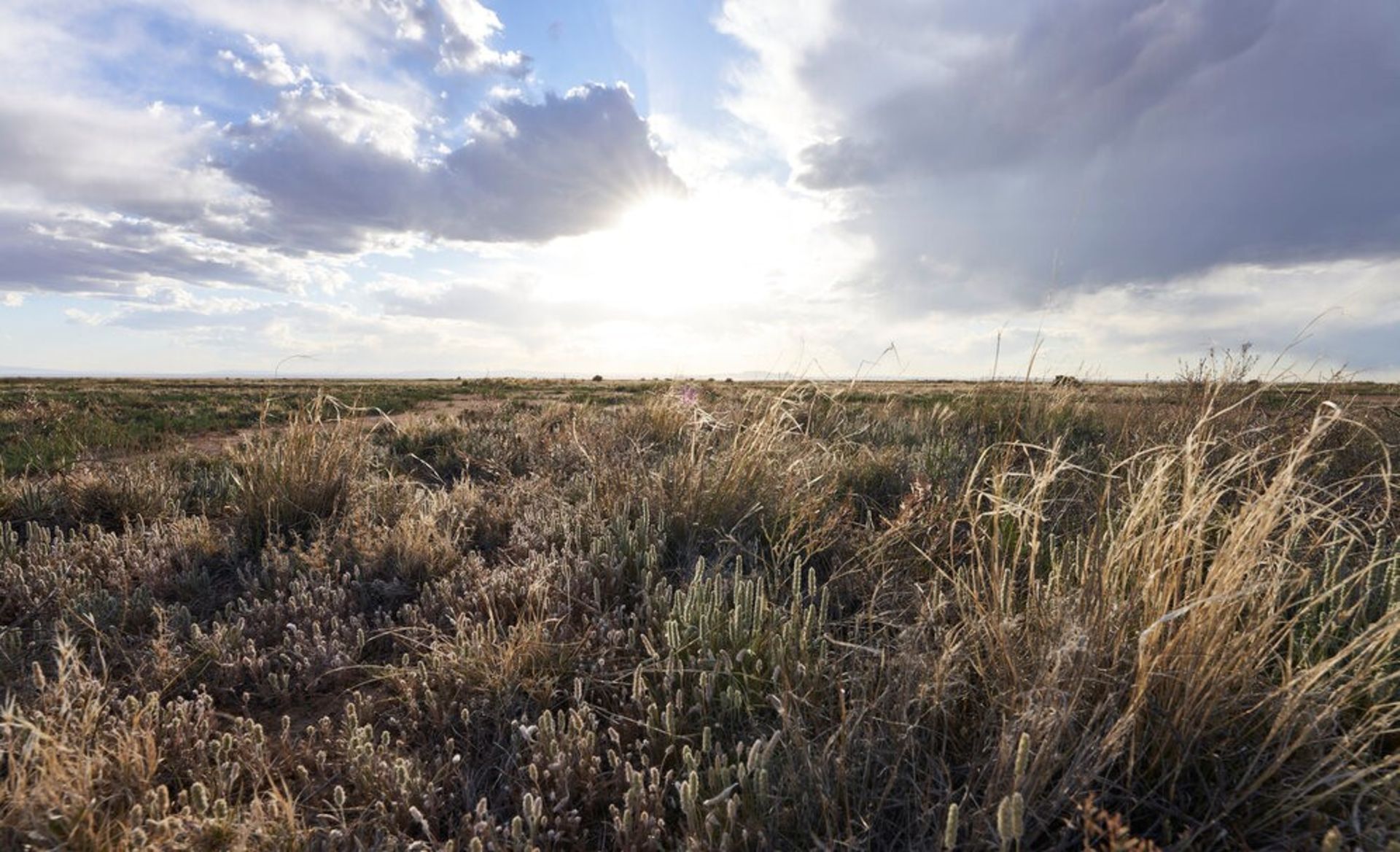 Own the Great Outdoors in Booming Valencia County, New Mexico!