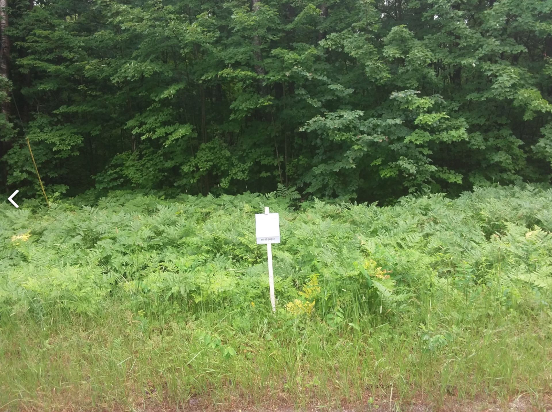 Welcome to Your New Home in Antrim County, Michigan! - Image 5 of 7