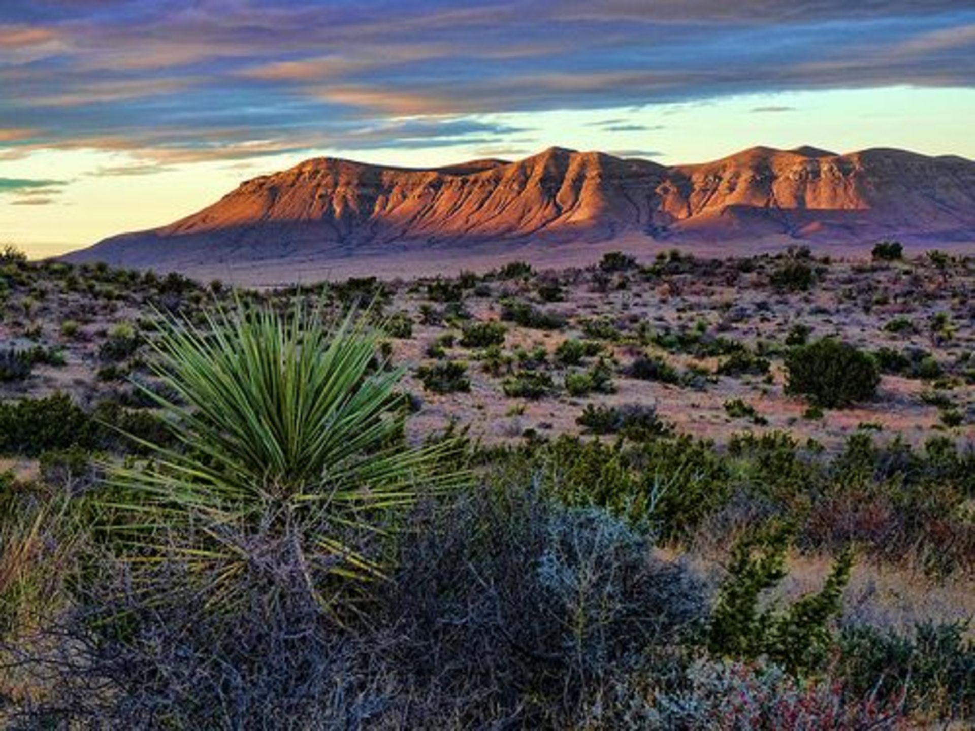 Immerse Yourself in Over 159 Spectacular West Texas Acres! BIDDING IS PER ACRE!