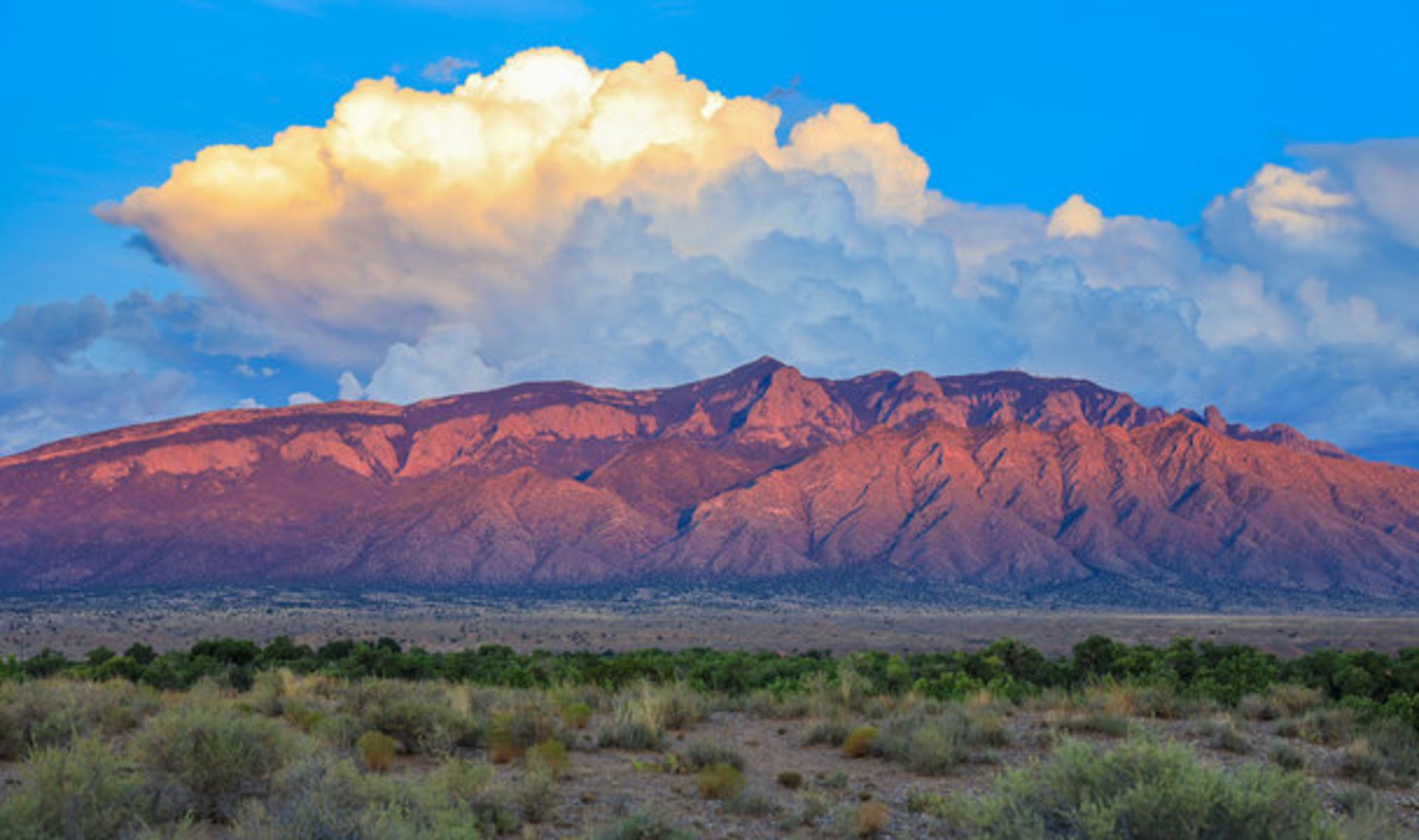 Own the Great Outdoors in Booming Valencia County, New Mexico!