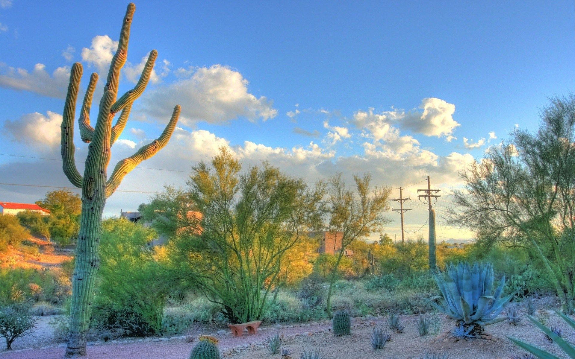 Mesmerizing Cochise County, AZ!