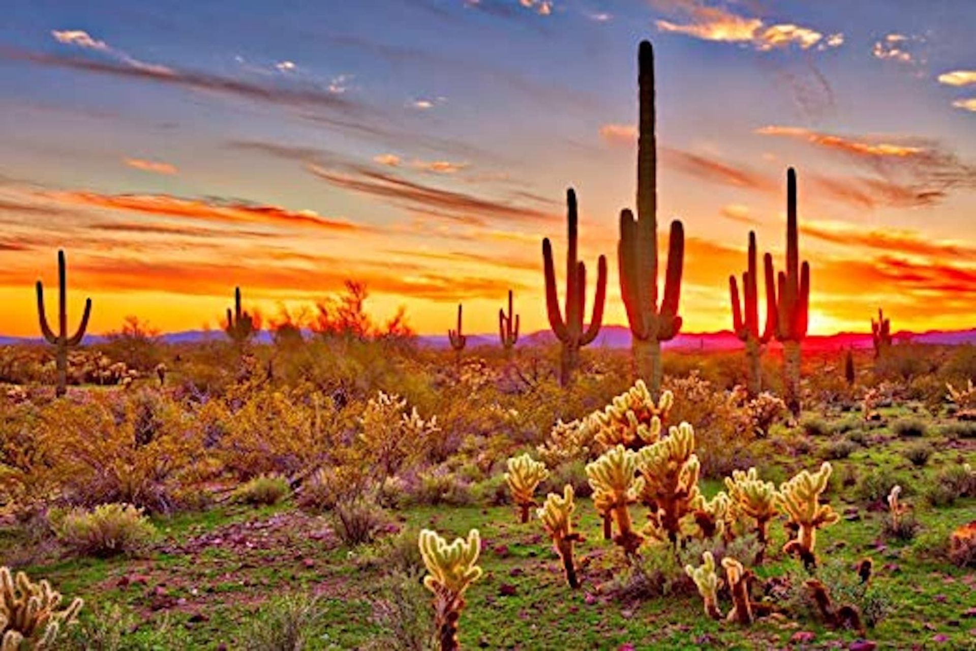 Do You Love Small-Town Charm? Then You'll Love Cochise County, AZ!