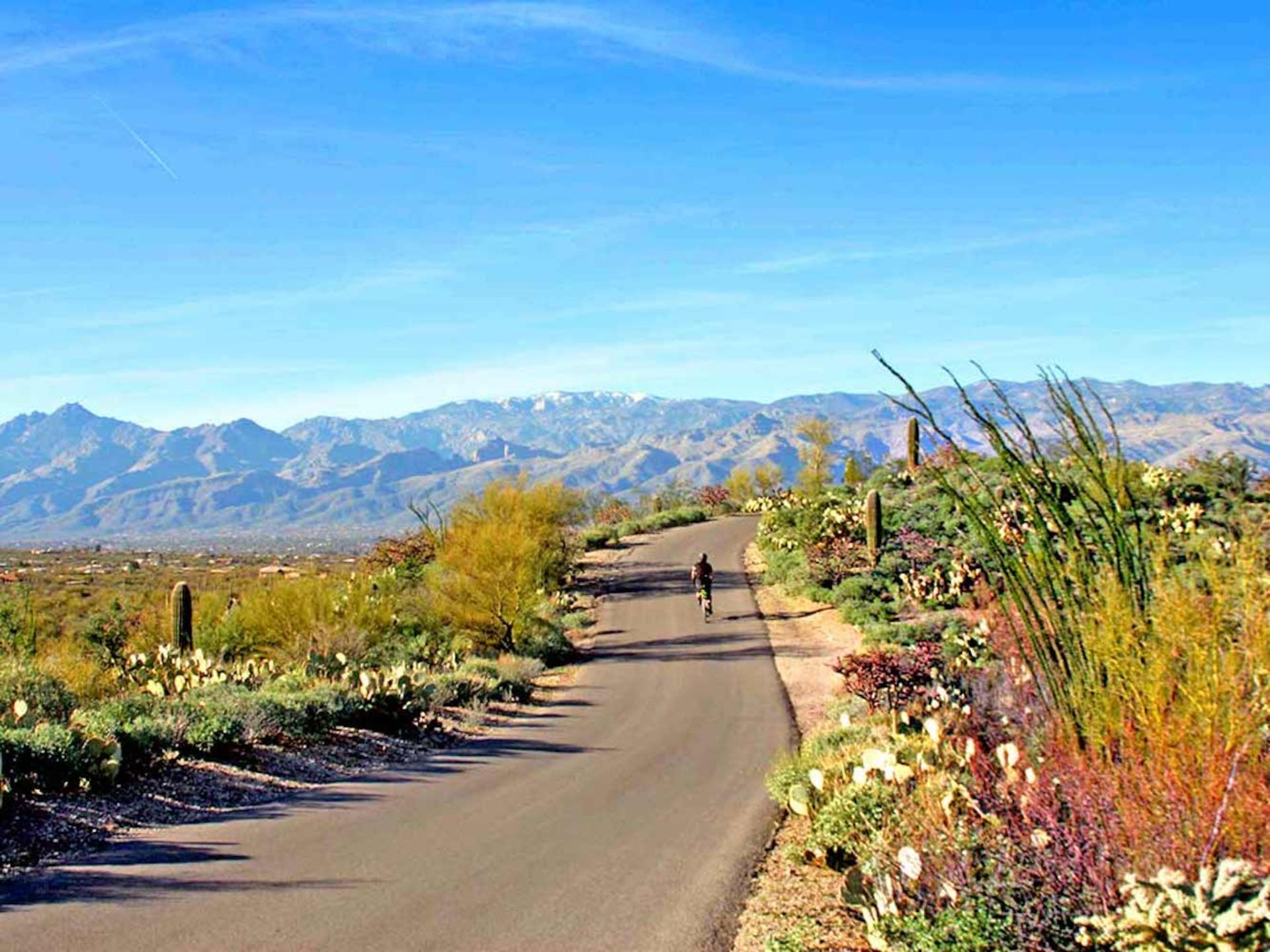 2.5 Acres of Beautiful Views in Navajo County, Arizona!