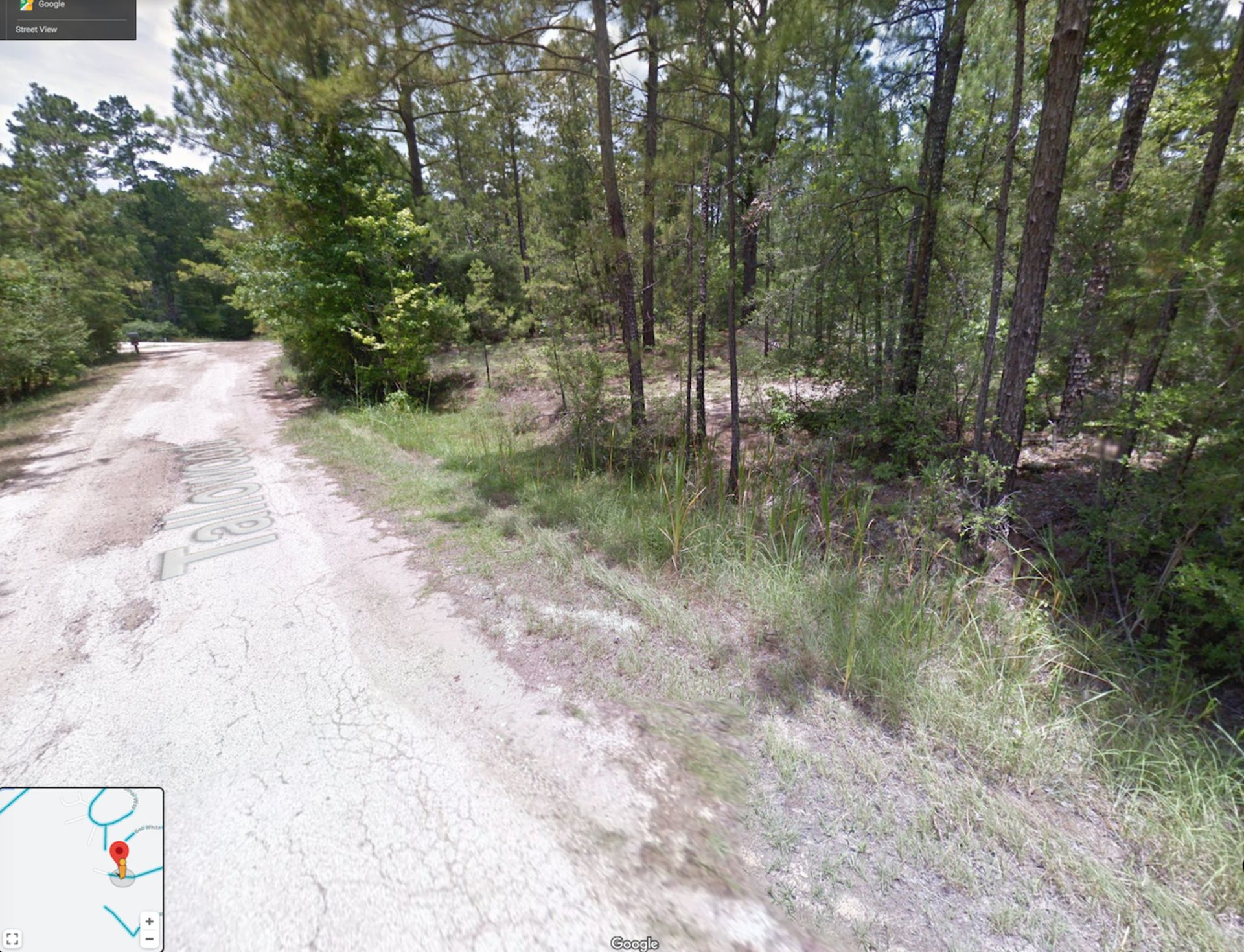 Beautiful Texas Lot in Pineywoods! - Image 6 of 7