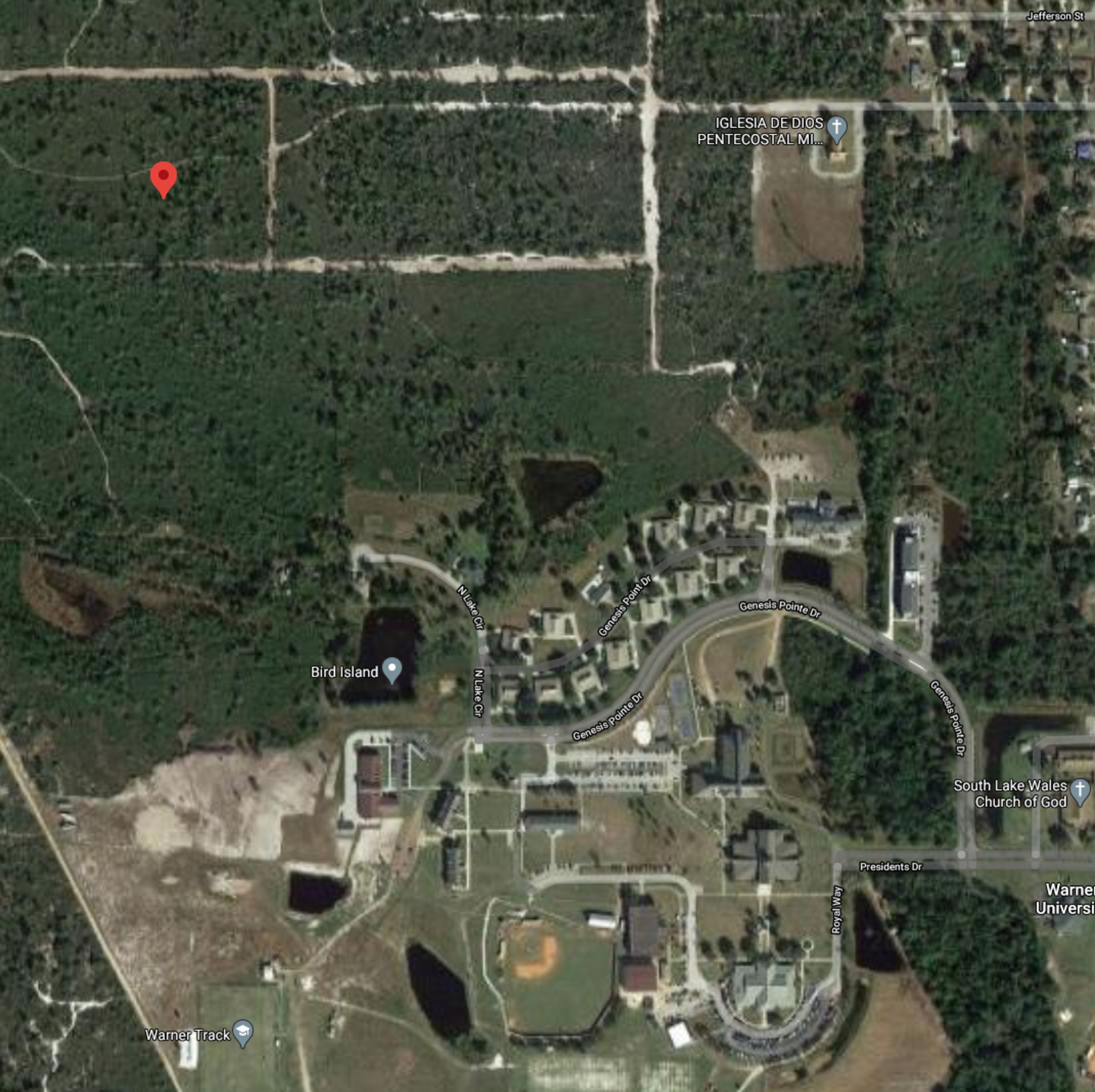 1.25 Acres in Polk County, Florida! - Image 8 of 8