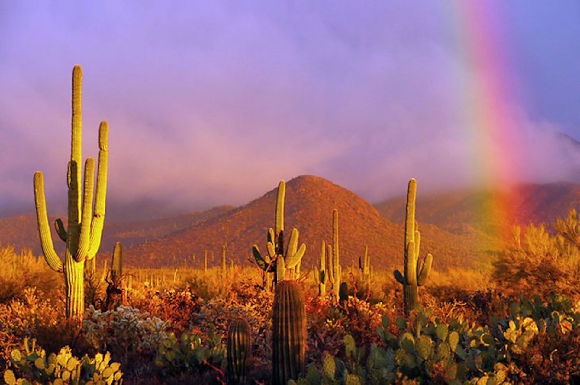 Over 2 Acres of Magnificent Arizona Views!