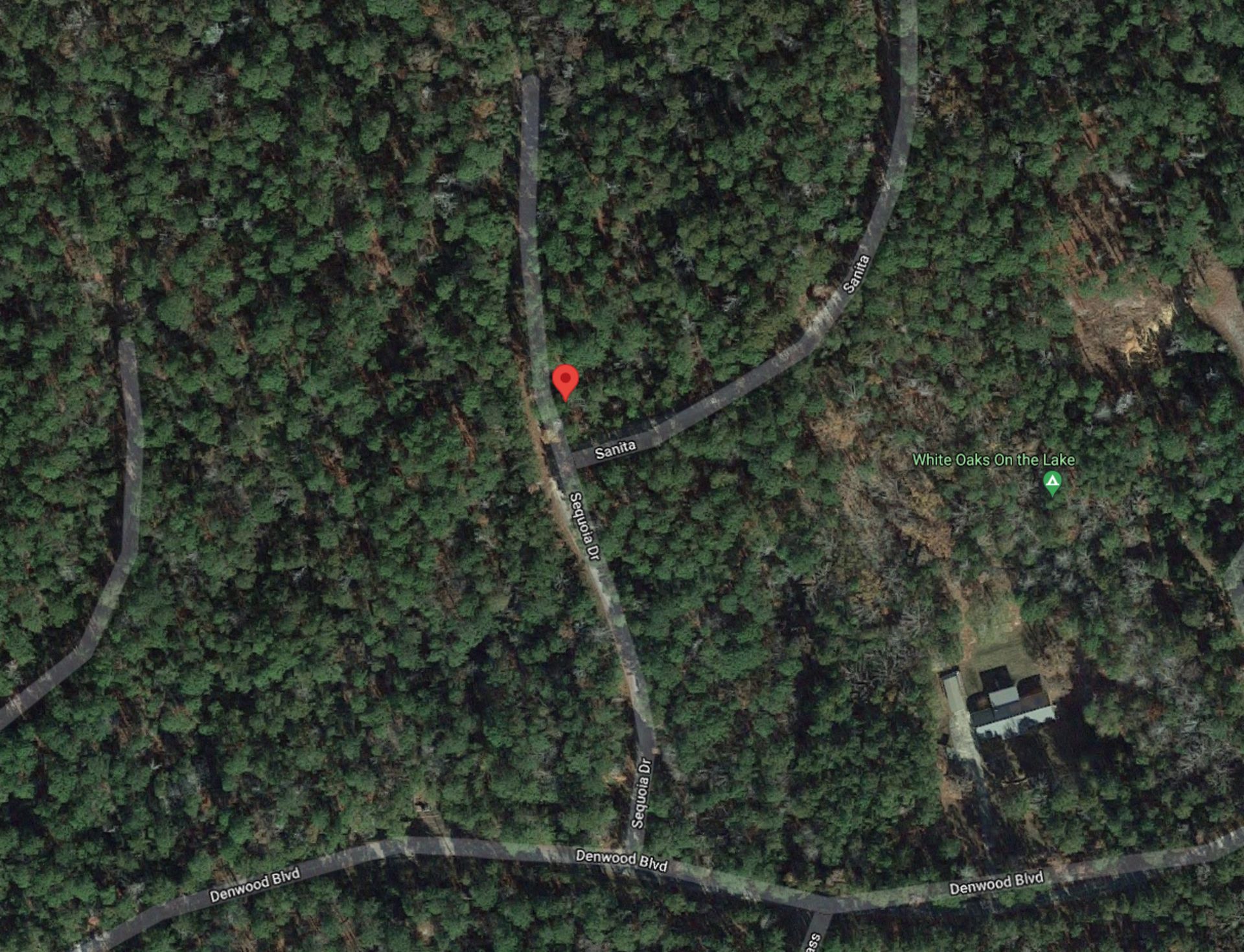 Build on Your Beautiful Lot in Texas Pineywoods! - Image 5 of 7