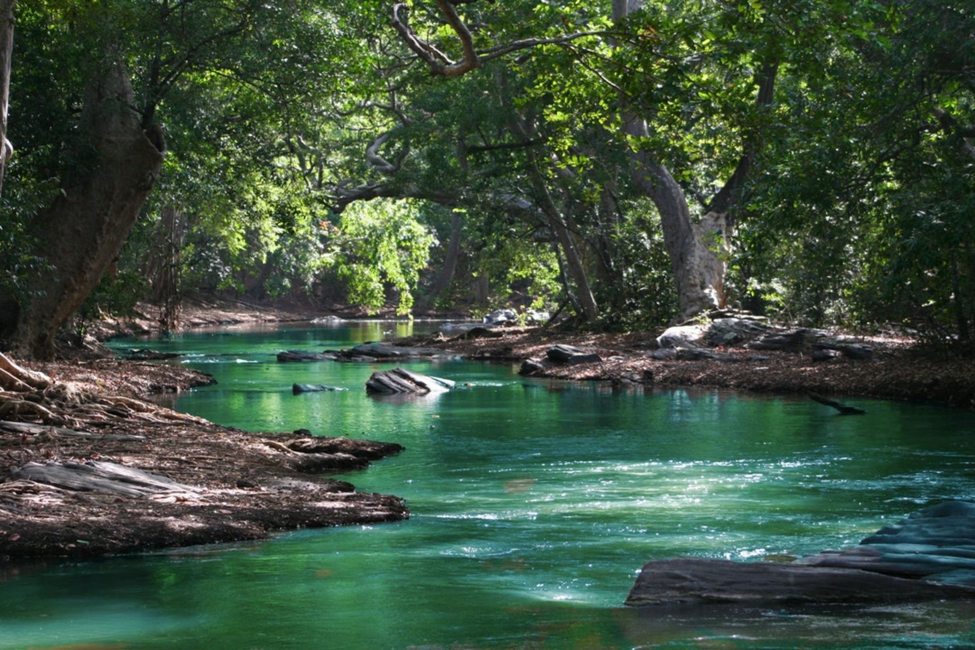 Experience Nature's Beauty in Charlotte County, Florida! - Image 7 of 7