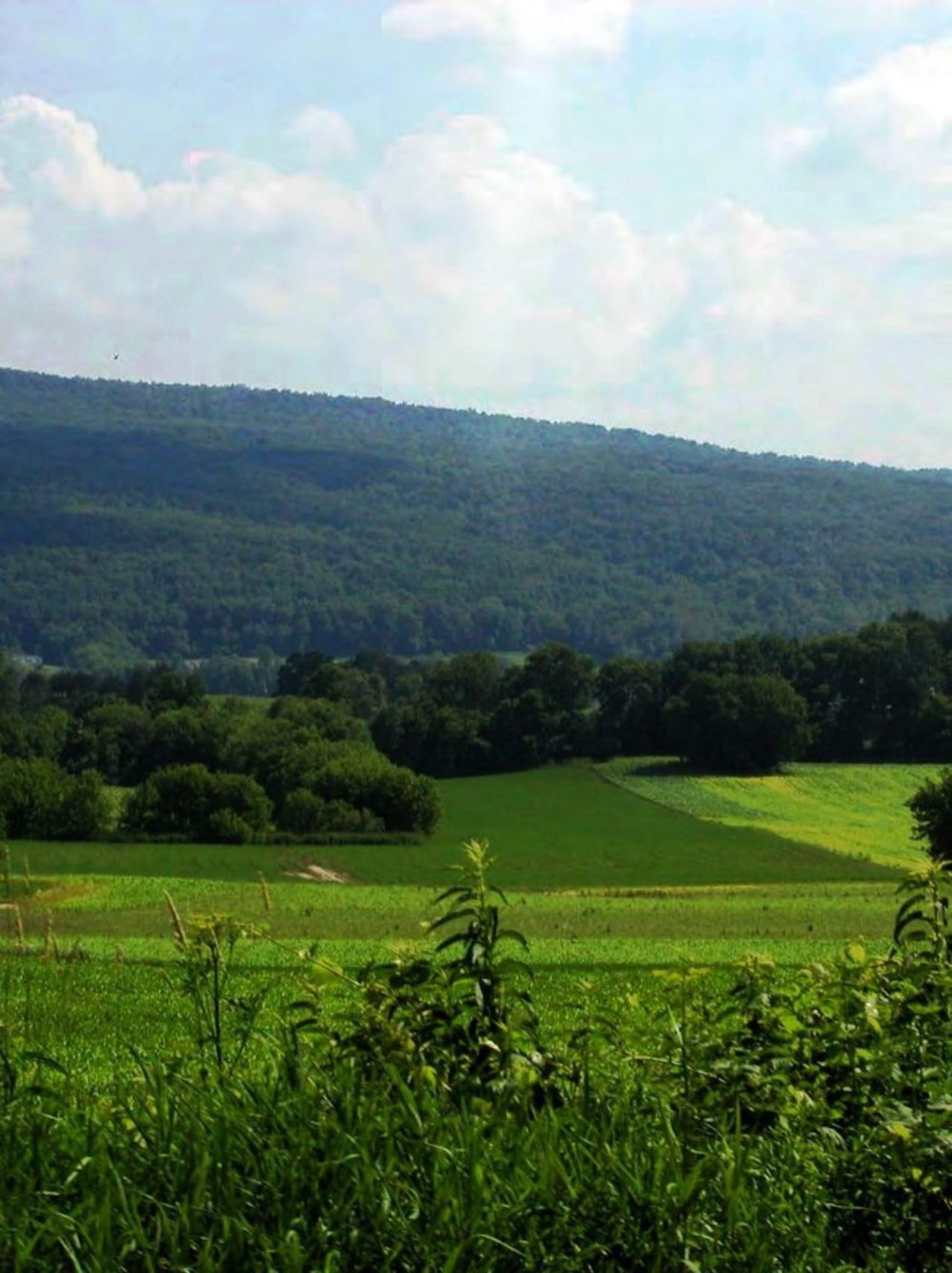 Lakeside Living in Lush, Green Wisconsin - Image 4 of 7