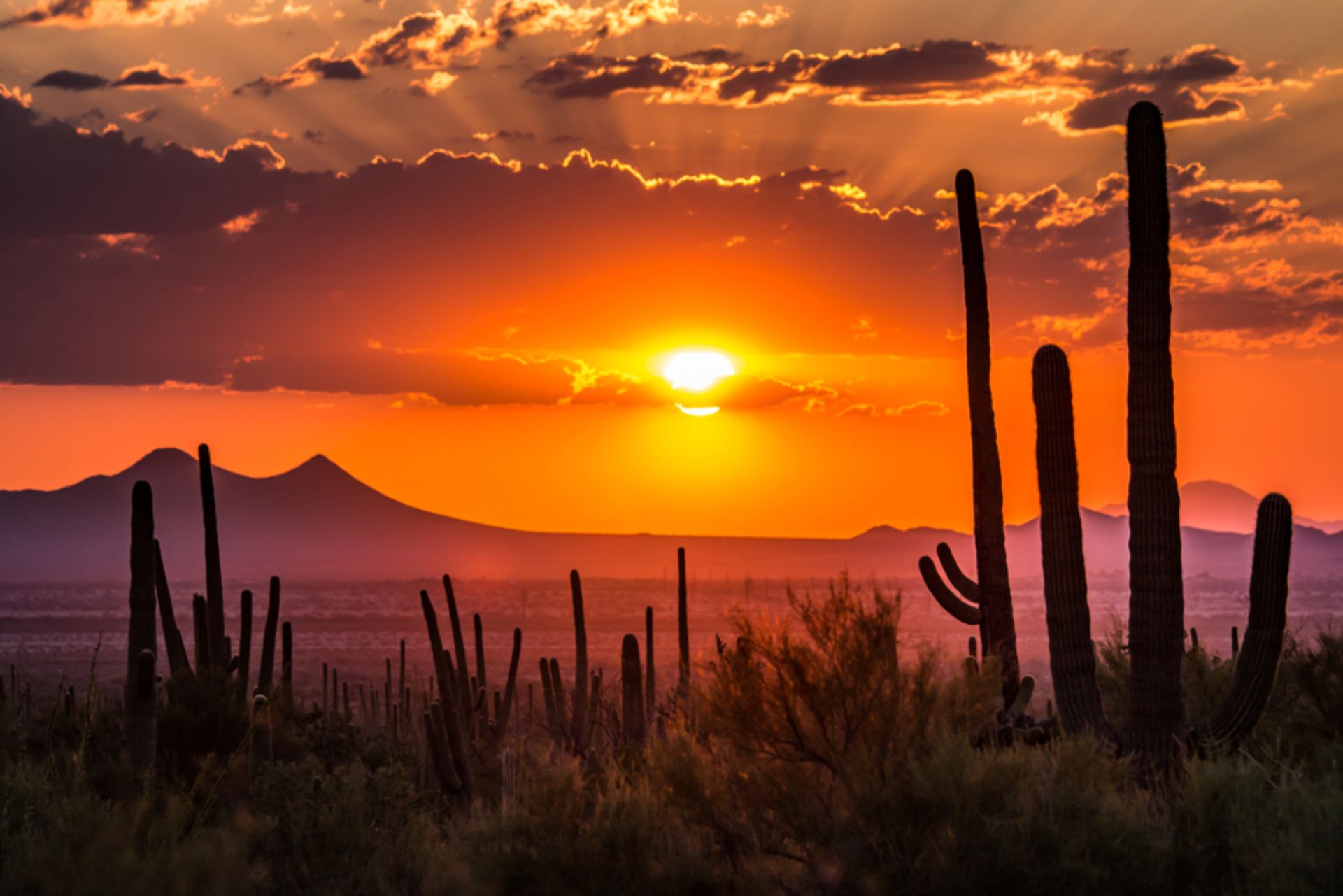 Do You Love Small-Town Charm? Then You'll Love Cochise County, AZ!