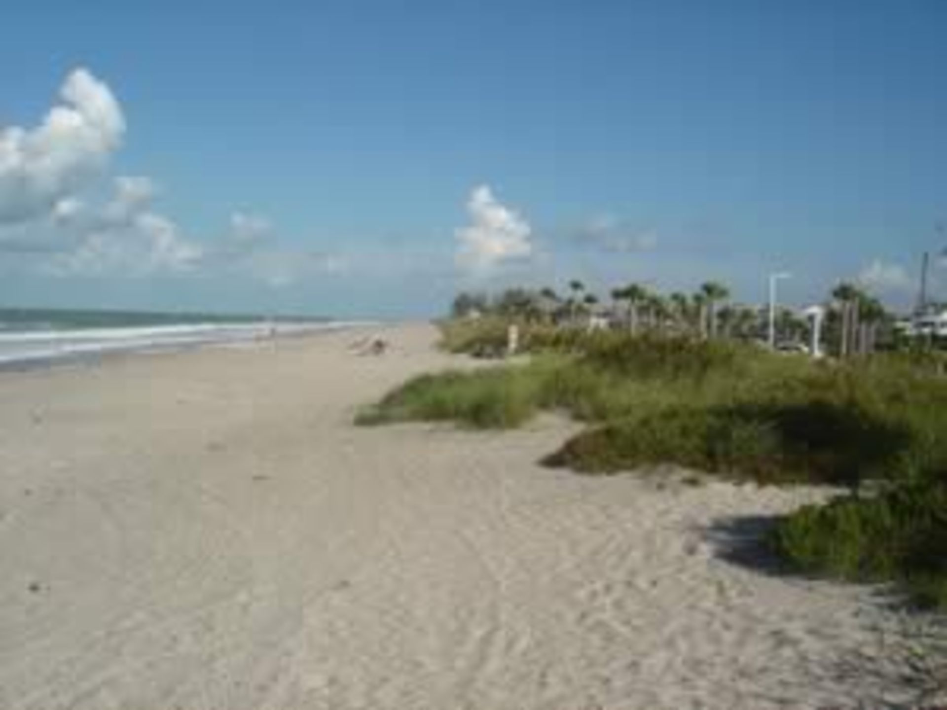 Own Property in the Sunshine State!