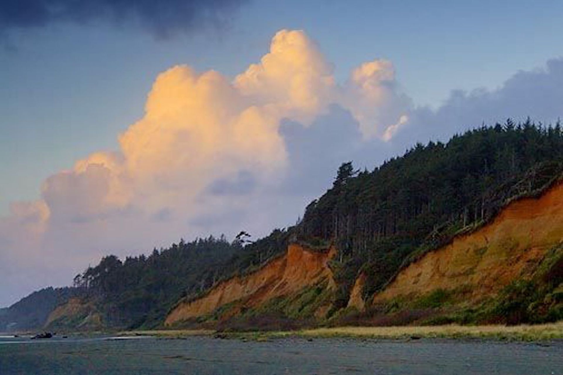 A Few Minute Stroll to a Pacific Ocean Beach, in the Evergreen State! - Image 4 of 5