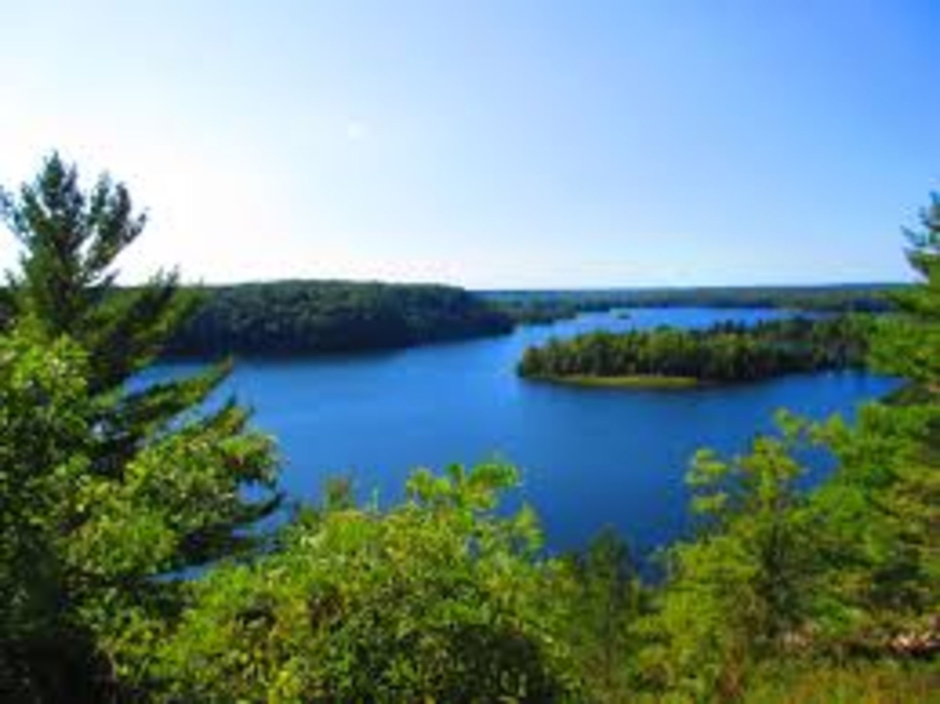 Own Land in Lake County, Michigan's Recreational Outdoor Paradise!