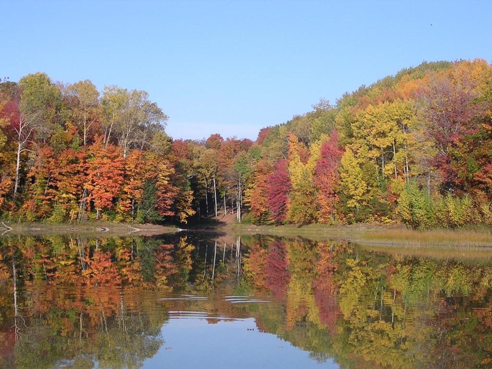 A Mile to Golf and to the Slopes in Antrim County, Michigan!