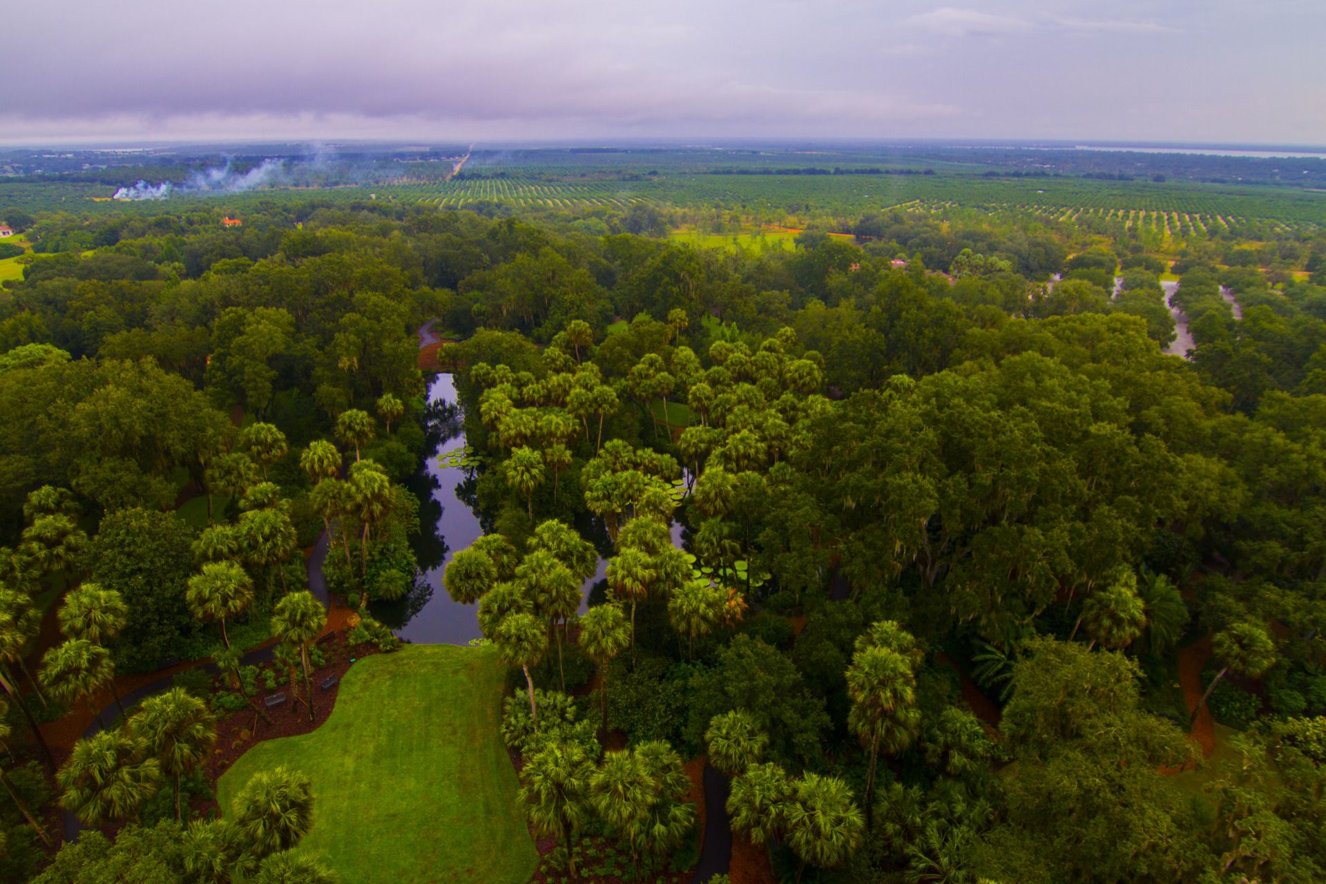 Over Half Acre in Peaceful, Polk County, Florida!