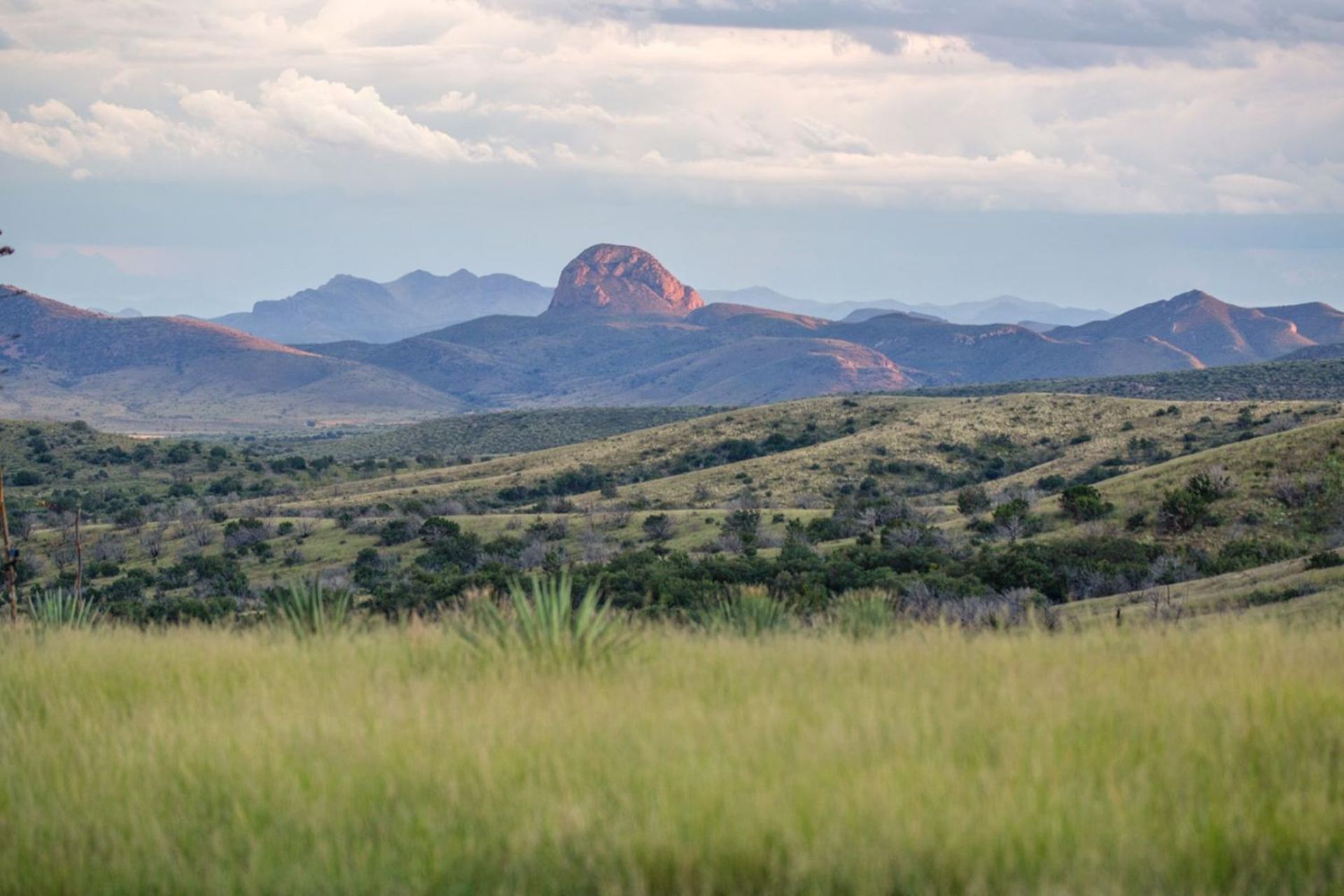 Mesmerizing Cochise County, AZ!