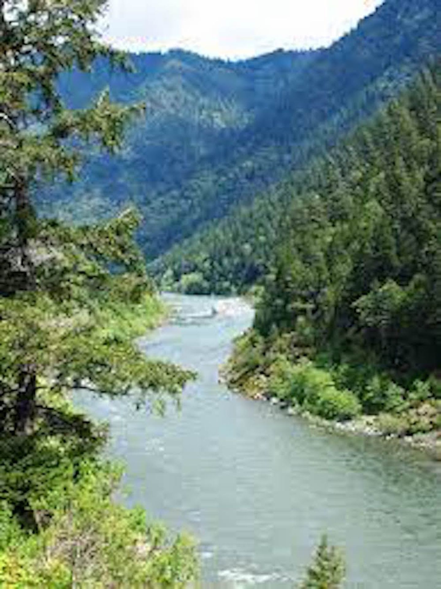 Scenic Wooded Lot in Northwestern California by the Klamath River!