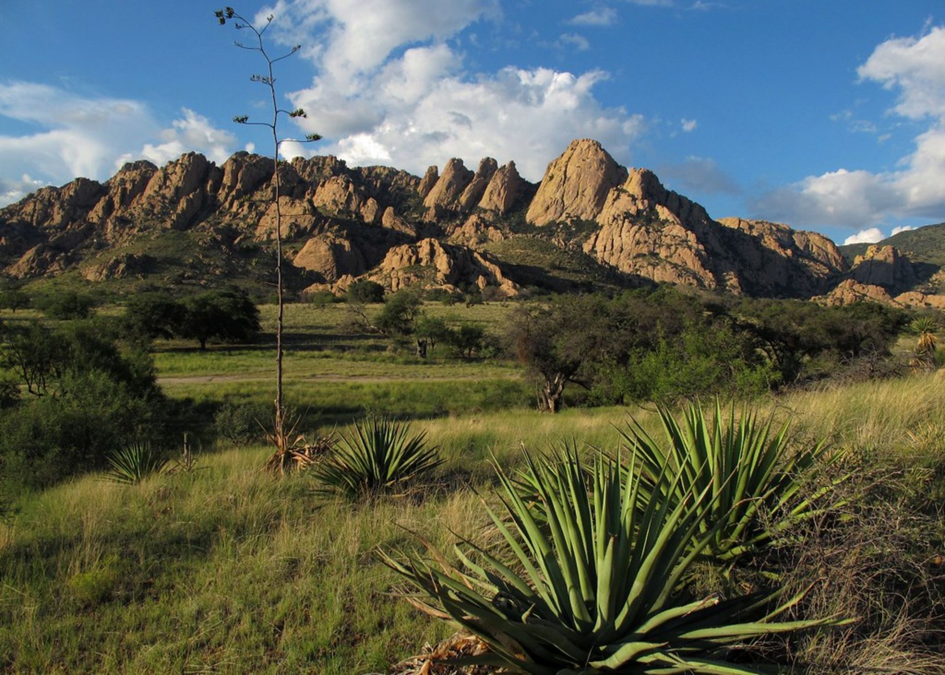 Experience Historic Cochise County, AZ!