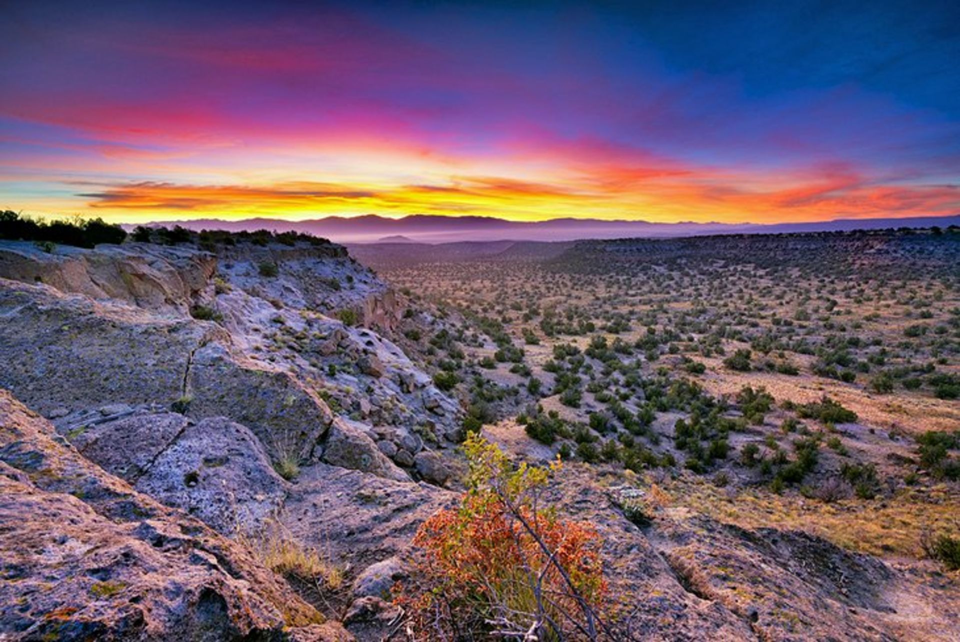 Growth, Growth & More Growth in New Mexico!