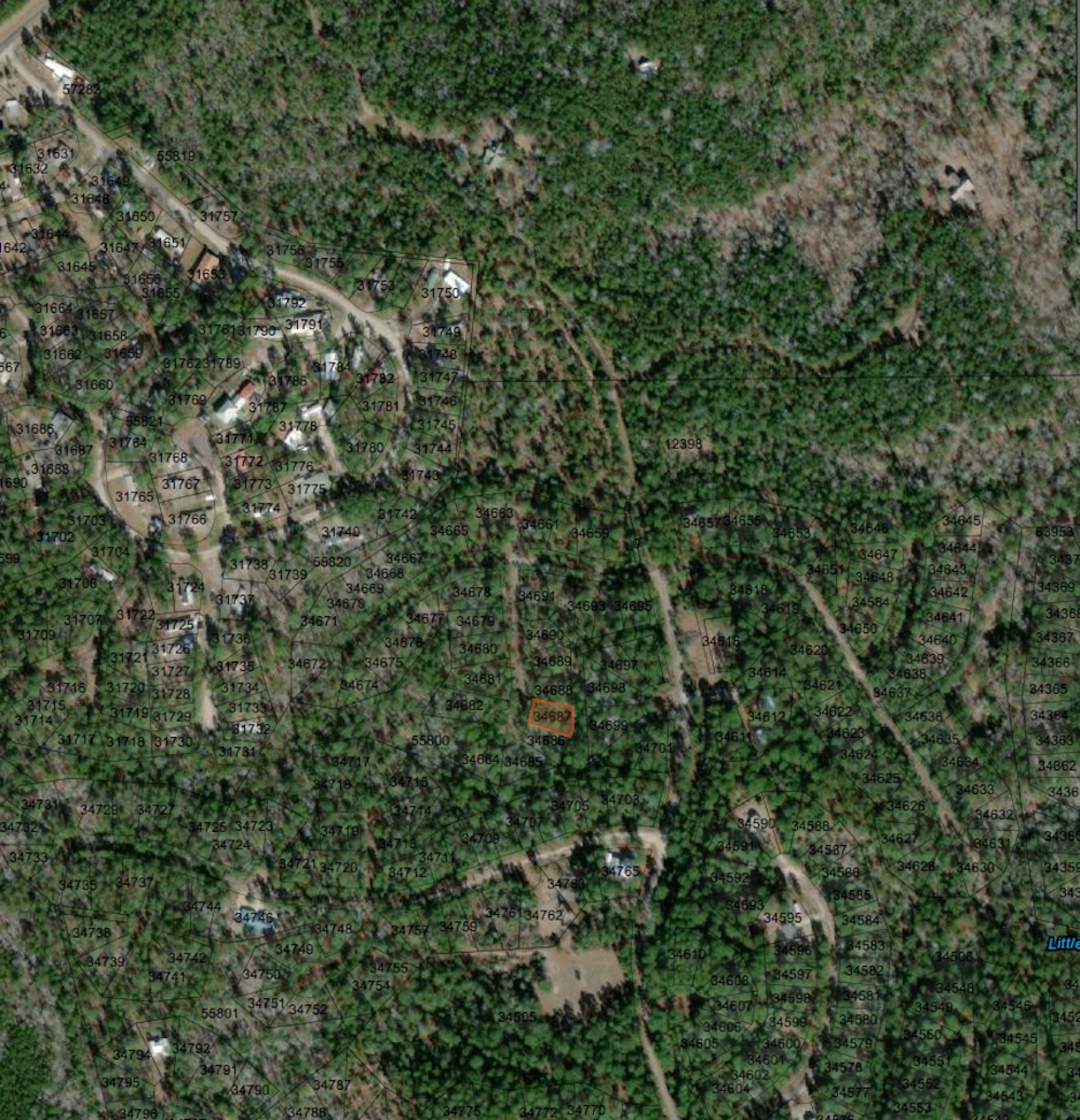 Build on Your Wooded Lot in the Texas Pineywoods! - Image 7 of 7