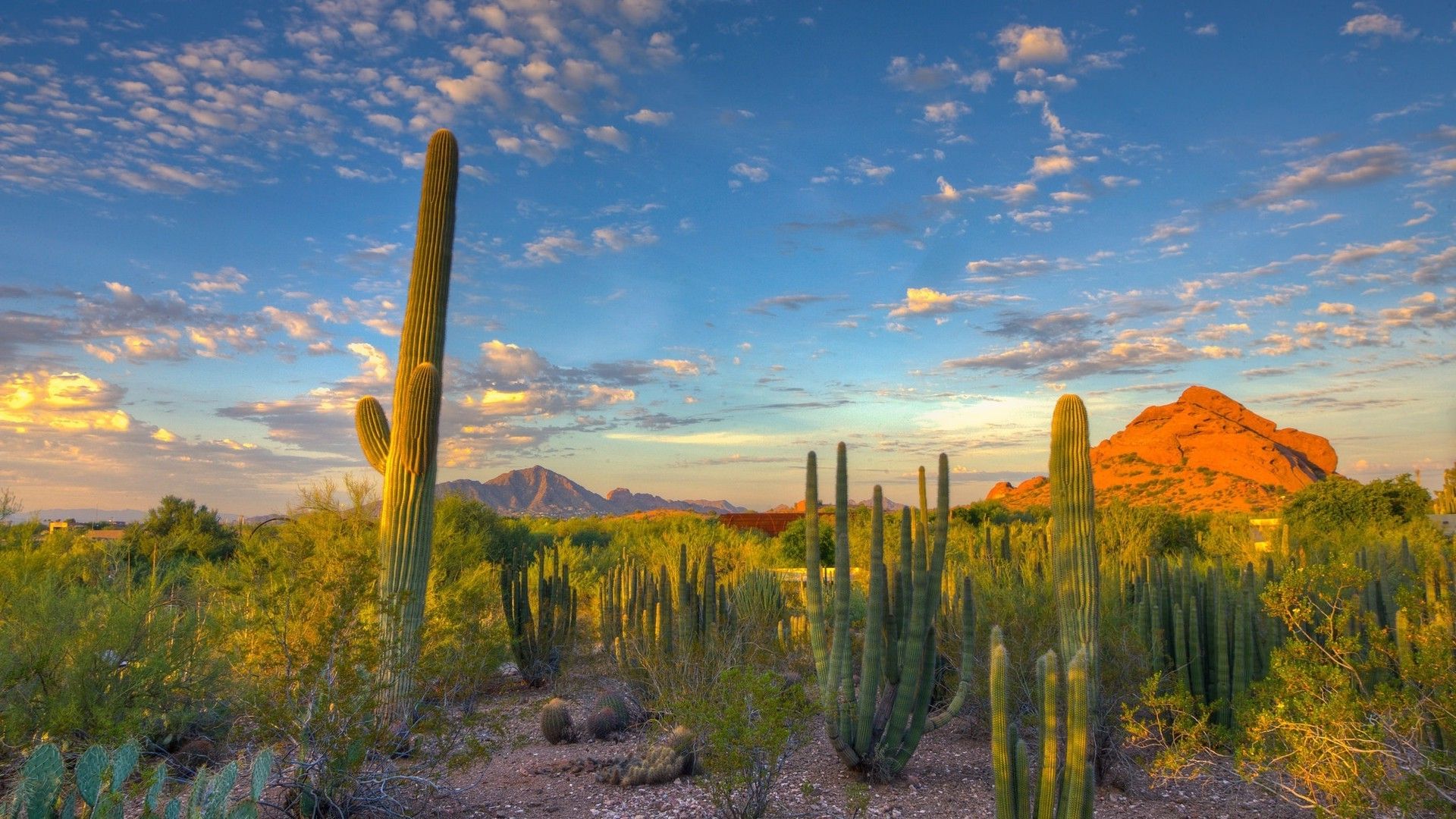 2.5 Acres of Beautiful Views in Navajo County, Arizona!