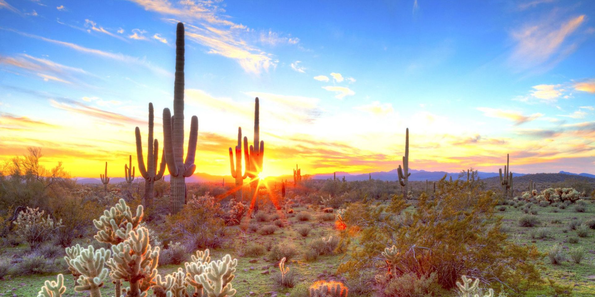 A Quiet Oasis at the Edge of Historic Downtown Willcox in Cochise County, Arizona!