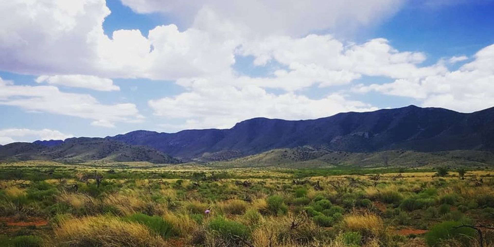 A Quiet Oasis at the Edge of Historic Downtown Willcox in Cochise County, Arizona!