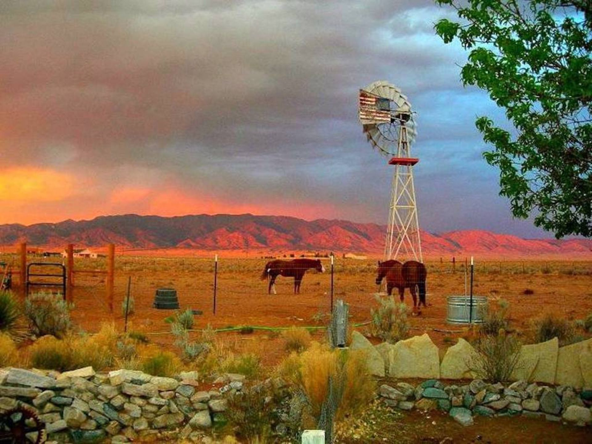 Scenery to Culture. This is the Land of Enchantment. Stake your Claim in Valencia, New Mexico!