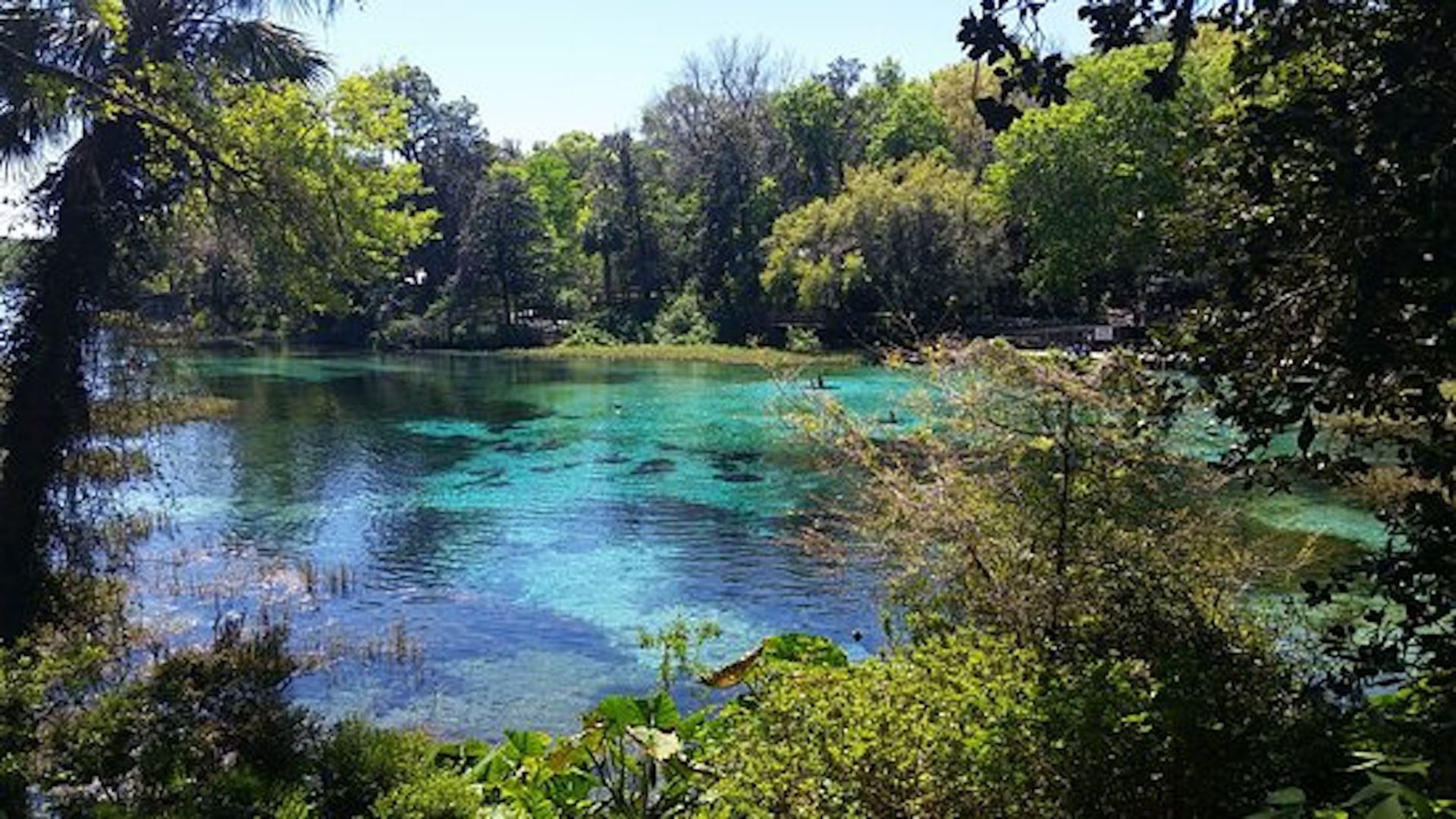 Near Lakes, Lakes, and More Lakes in Sunny Florida!