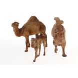 2 Kamele und 1 Dromedar, Masse, HL, LS, Z 3