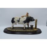 Boxed Country Artists countryside figure of a Belgian Blue- 'The Winning Partnership'